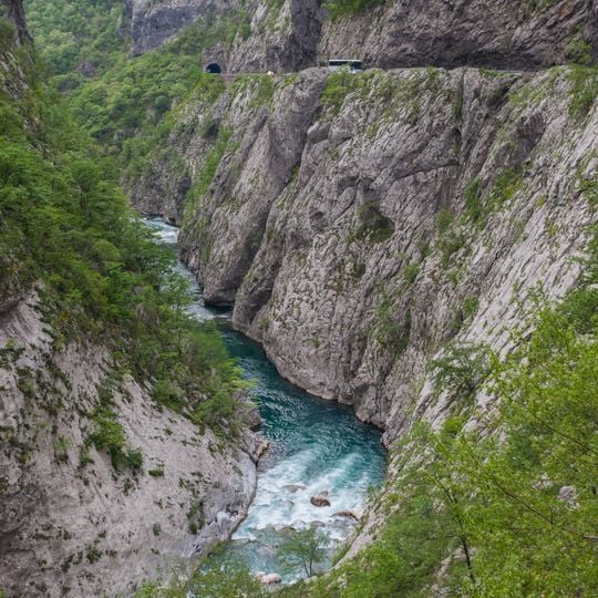 Morača