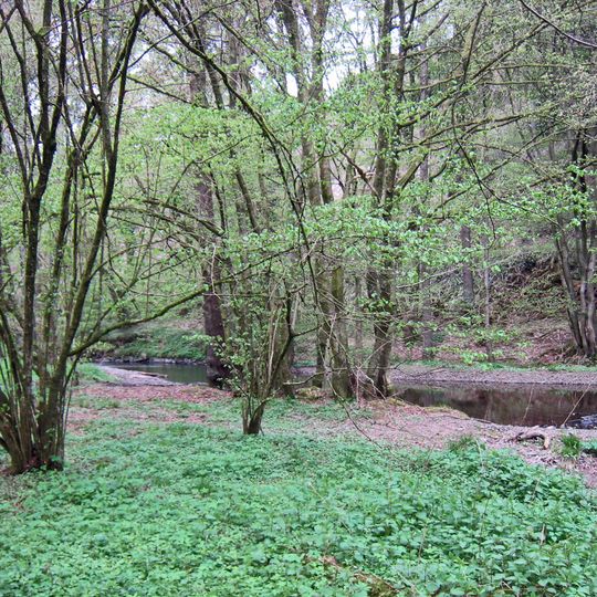 NSG Eifgenbach und Seitentaeler