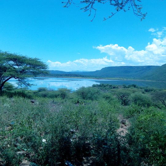 Lago Bogoria