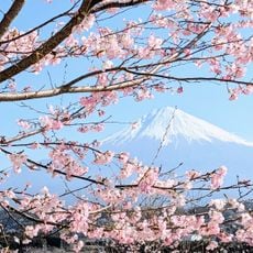 興徳寺