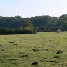 Debdale Meadow, Muston
