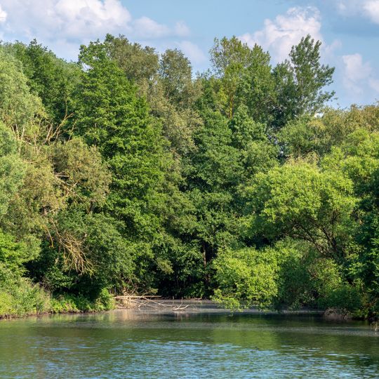 Altwässer an der Regnitzmündung bei Bamberg und bei Viereth