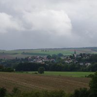 Wipfeld