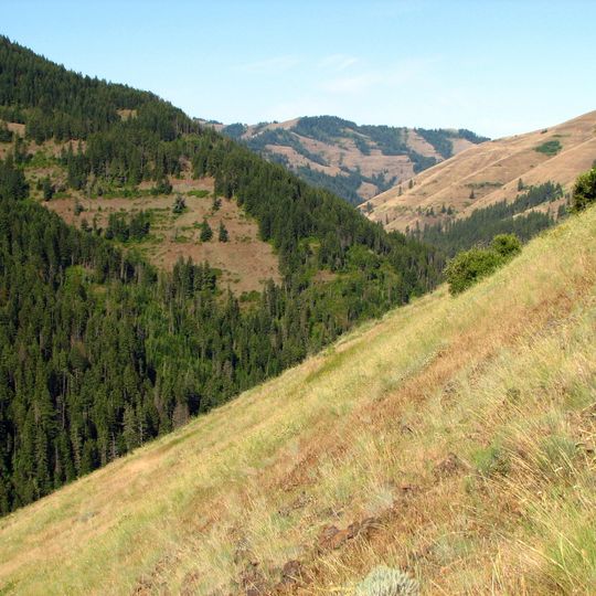North Fork Umatilla Wilderness