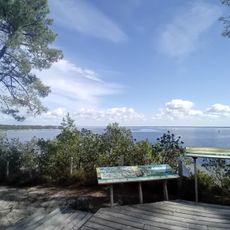 Viewpoint