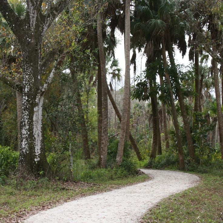 Parc de Loxahatchee River Battlefield