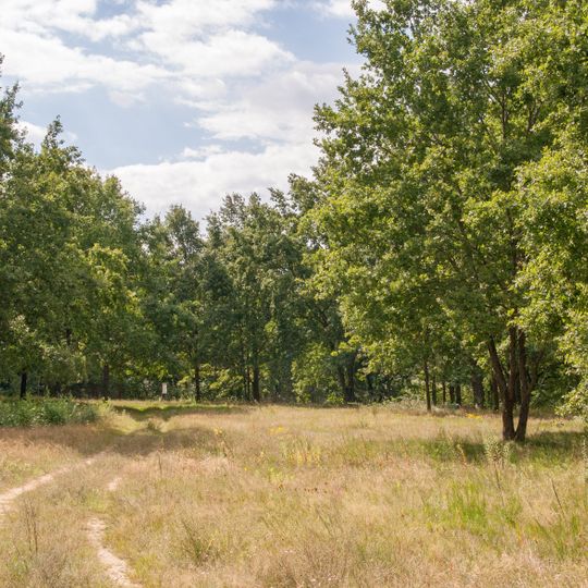 Sandmagerrasen Brunnleite