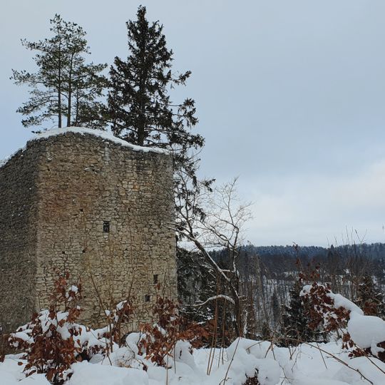 Burg Hohenerpfingen