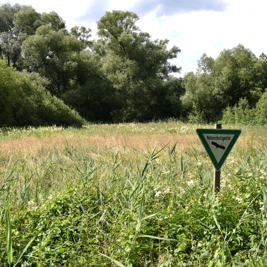 Oberwiesen von Sprendlingen