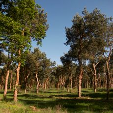 Lehniner Wald- und Seengebiet