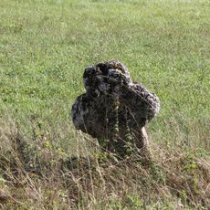 Steinkreuz bei Pfaffenhofen