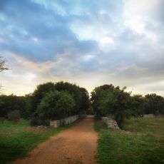Bosco di Cardigliano