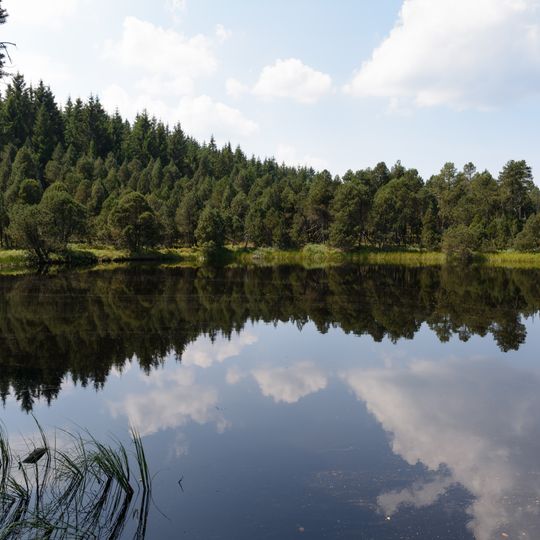 Schönwälder Hochflächen