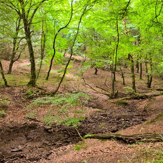 NSG Morsbach und Rheinbach