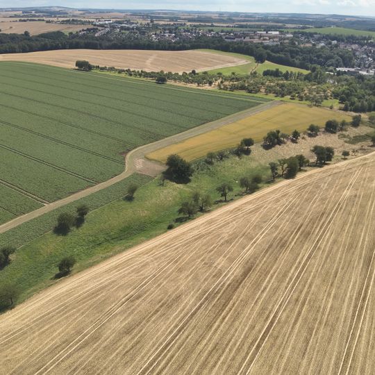 Streuobstwiese in Penig am Stadtgut 3