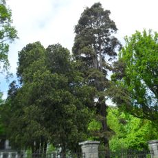 Park