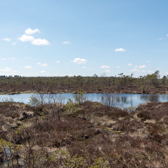 Schwarzes Moor