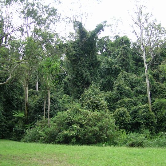 Cottan-Bimbang National Park