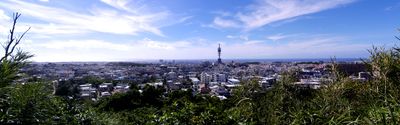 Panoramic View 0
