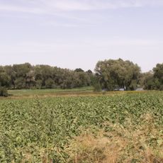 Osoblažský výběžek