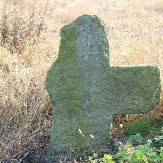 Dankowice, Strzelin County