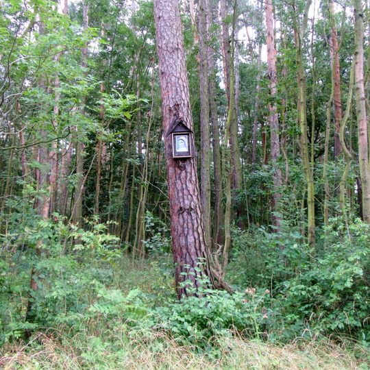 Obrázek u Odrlice na okraji lesa