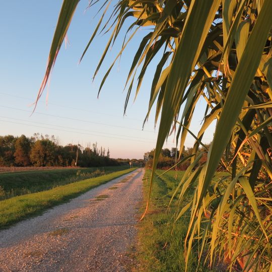 Oasi naturalistica A.R.E. vasche ex zuccherificio
