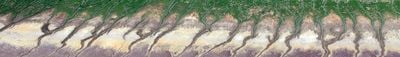 Panoramic View 0