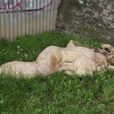 Socha bezdomovce v ulici Nad Vinným potokem