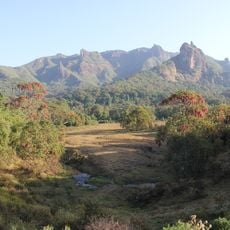 Ethiopian montane forests