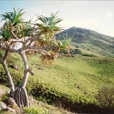 Hat Head National Park