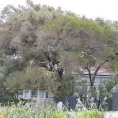 Residence 124 Arcadia Drive, Shoalwater