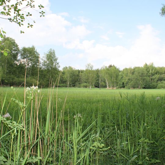 Wasenmoos bei Grünkraut
