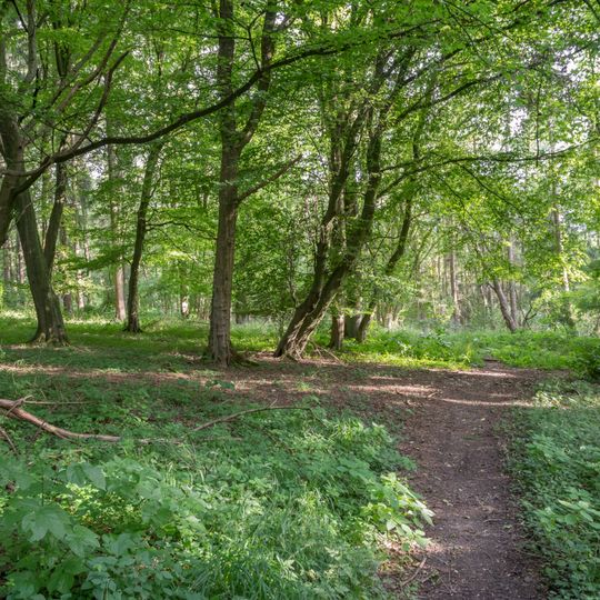 Krumme Grund - Pamelsche Grund