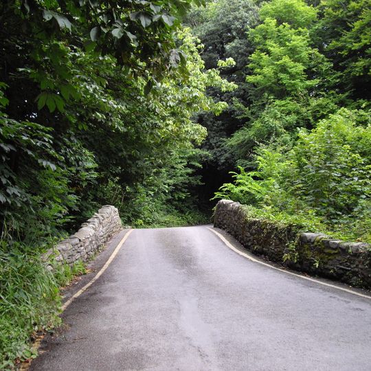 Pont Llanina, Llanina