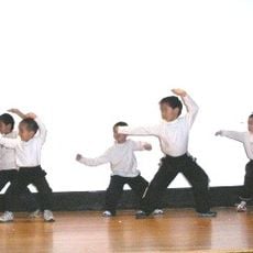 St. Louis Modern Chinese School