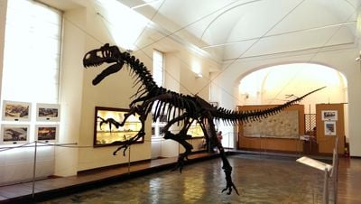 Interior 0