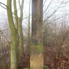 Sloup božích muk na severním okraji Místa