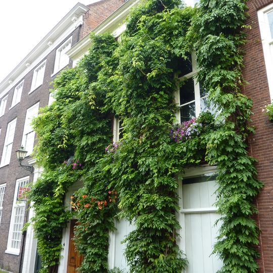 Pand met eenvoudige gevel