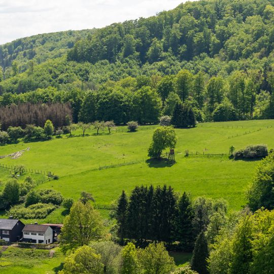 LSG-Wiese am Hangstein