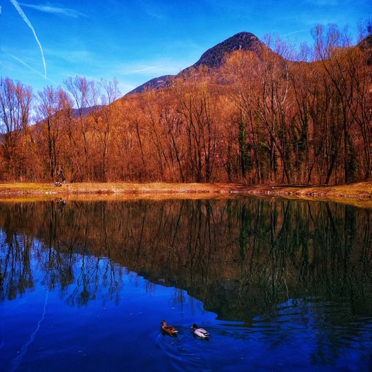 Biotopo Delta del Valsura