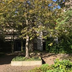 Edinburgh, 6 And 8a Hope Park Square