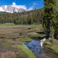 Upper Kings Creek Meadow
