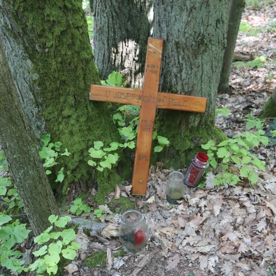 Dřevěný kříž severně od Glorietu