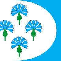 Сельское поселение Чёрновский