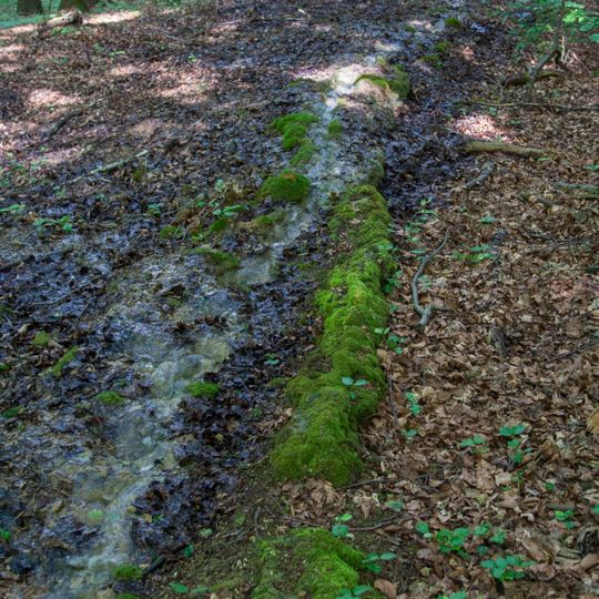 Steinerne Rinne am Buchenberg