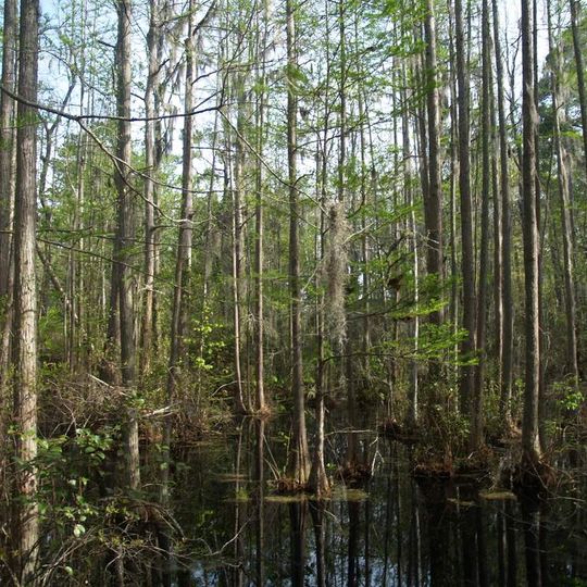Woods Bay State Park