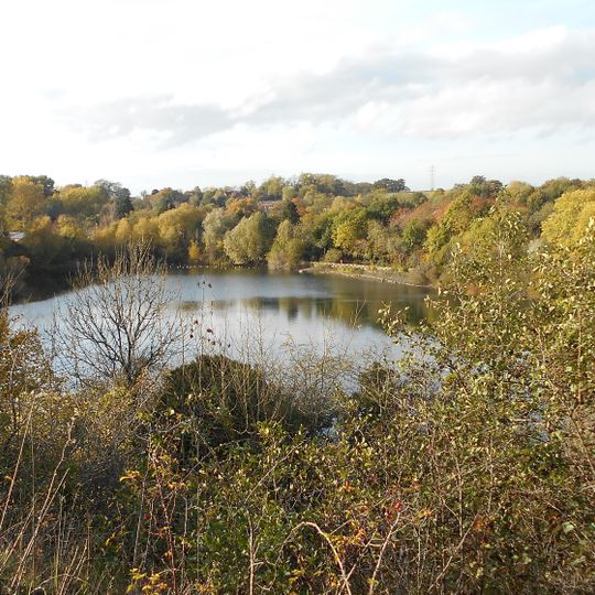 Newbold Quarry Park