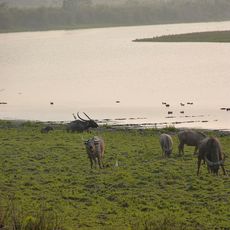 Parco nazionale di Indravati