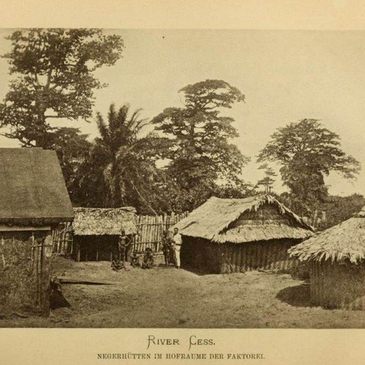 Collection Image